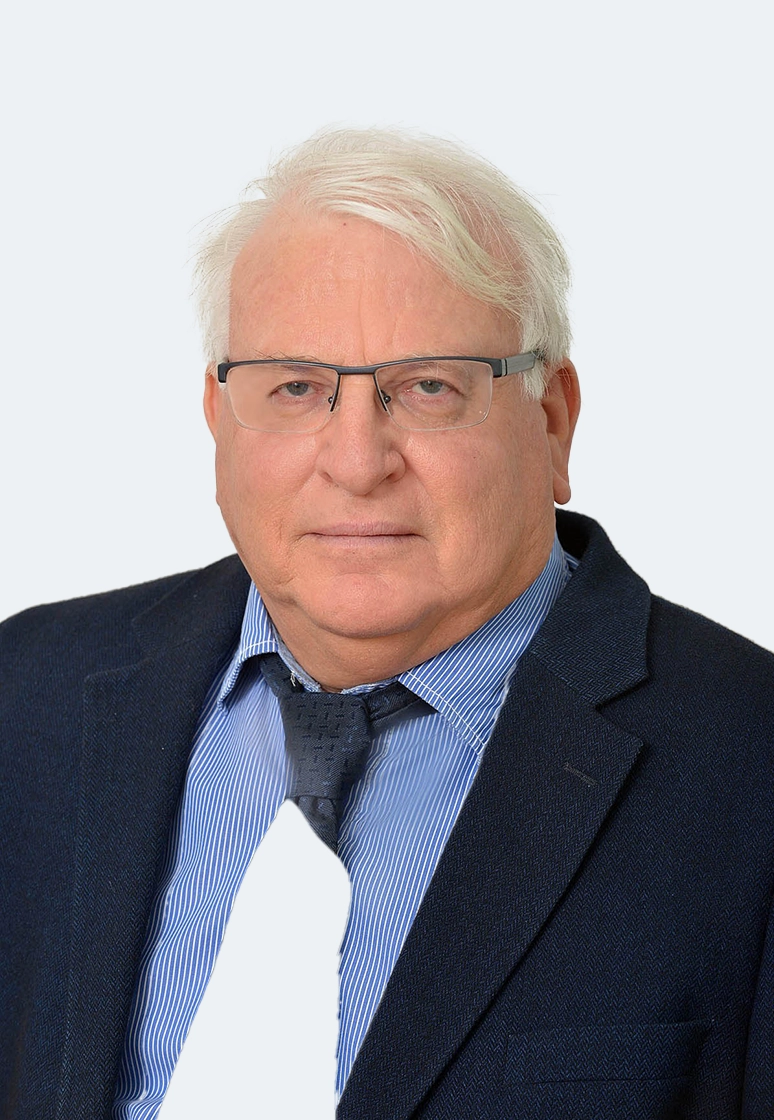 Hanan Feldmus
